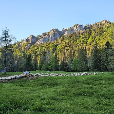 Appartamento Gosciniec Kuznice Zakopane Esterno foto