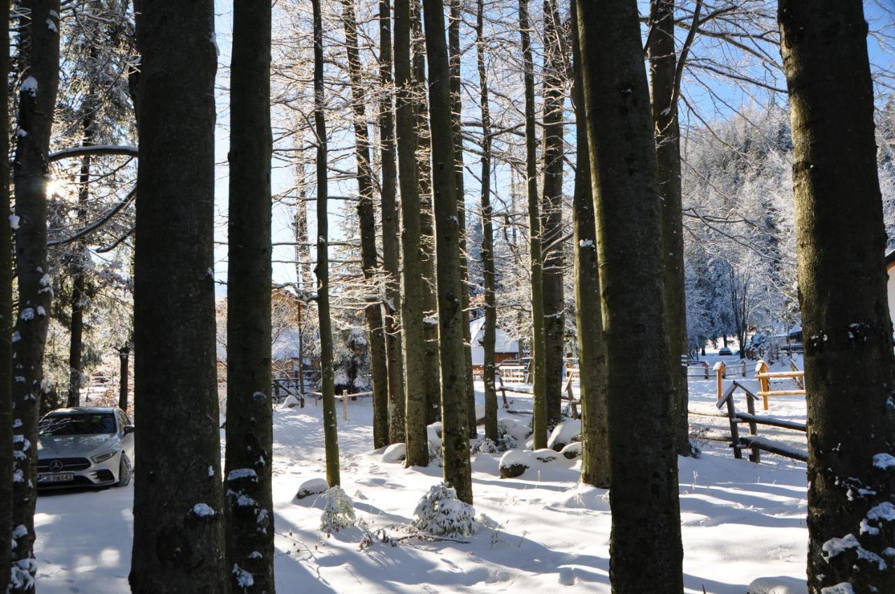 Appartamento Gosciniec Kuznice Zakopane Esterno foto